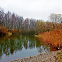 Поздняя осень. :: Лия ☼