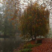 Туманное осеннее утро :: Юрий. Шмаков