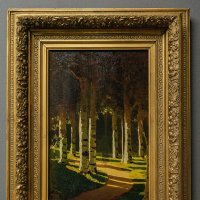 Солнечный свет в парке :: Ирина Соловьёва