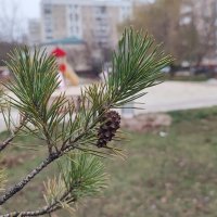 ,,, :: Сергей Тимоновский