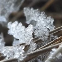 Льдинка :: Александр Николаев