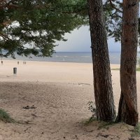 Лето 2025. Август :: Наталья Герасимова