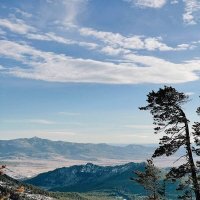 Сосна на вершине :: Георгиевич 