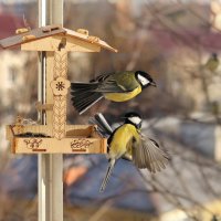 Посторонись, взлетаю. :: Татьяна Бравая