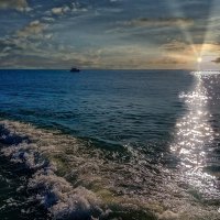 Хорошее настроение! :: arkadii 