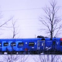 Рэкс в пути :: Людмила Смородинская