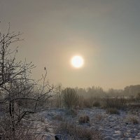 Морозное утро... :: Ирина *