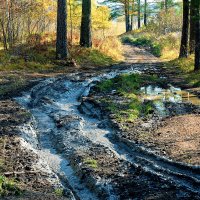 Нужно проехать :: Дмитрий Конев