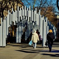 В парке Галицкого... :: Николай Саржанов