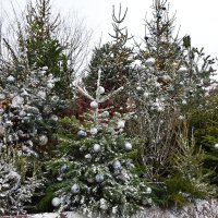 Предновогодняя Москва. Путешествие в Рождество. :: Наташа *****