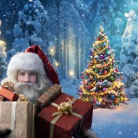 С Днём подарков! :: Андрей Заломленков