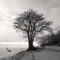 *** :: Сергей Григорьев