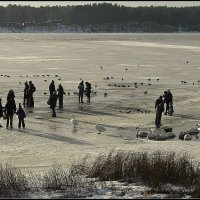 *** :: Aleksandr Gal