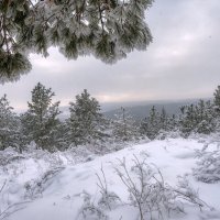 В царстве Снежной королевы :: Наталья Димова
