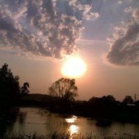 В подмосковье :: Натали 