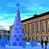 В ожидании Нового года.. :: Aida10 