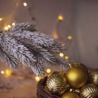 *** :: Яна Горбунова