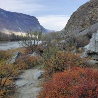 В долине Чулышман :: елена беликова
