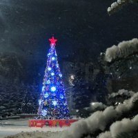 ***** :: Алексей Архипов