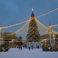 Главная новогодняя ёлка :: Татьяна Машошина