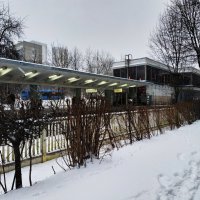 Пока зима, а там посмотрим :: Андрей Лукьянов