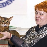 Фото с выставки кошек :: Светлана Ищенко Фото с выставки кошек :: Светлана Ищенко