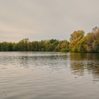 (°-°) :: Jakob Dick