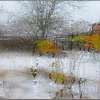 А    за   окном  -   осенняя    акварель... :: Галина Кузьмина