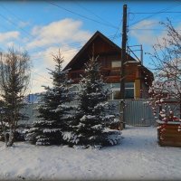 Зимняя зарисовка ... :: Валентина Надсон