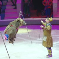 Цирк. :: Alex 711402