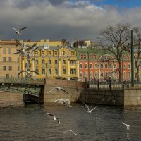 Взгляд на город :: елена беликова