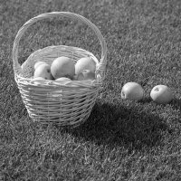 Корзинка с яблоками :: Александр Трухин