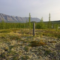 *** :: Александр Хаецкий