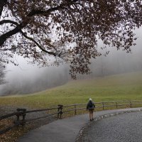 ...декабрьский туман... :: Галина 