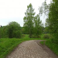 д.Белошкино :: Артем 