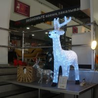 в Максидоме :: zavitok *