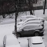 Белый снег упал на город :: Дмитрий Никитин Белый снег упал на город :: Дмитрий Никитин