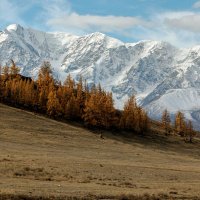 *** :: владимир 