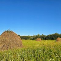 Нивы, покосы да ширь поднебесная :: Hope Нивы, покосы да ширь поднебесная :: Hope