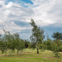 Облака над городом 3. :: Светлана Ищенко Облака над городом 3. :: Светлана Ищенко