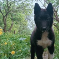 Что то задумал :: Александр Вадимович Crew smail