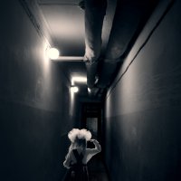 Движение вперёд! :: СЮ 