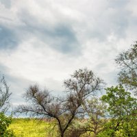 Облака над городом. :: Светлана Ищенко