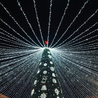 Ёлочное убранство :: Любовь Сахарова