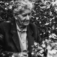 портрет отца... :: Владимир Матва