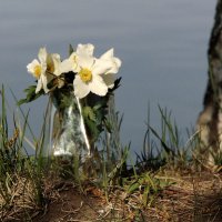 У самой воды. :: nadyasilyuk Вознюк