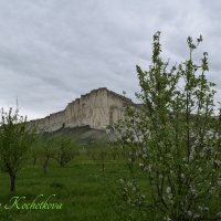 Природа Крыма :: Amazing Cosmea