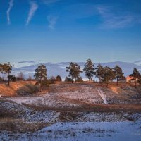 "Старые кедры на склоне. Солнечный день декабря"© :: Владимир Макаров