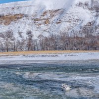 Река Кубань :: Игорь Сикорский