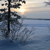 Зимнее :: Ольга 